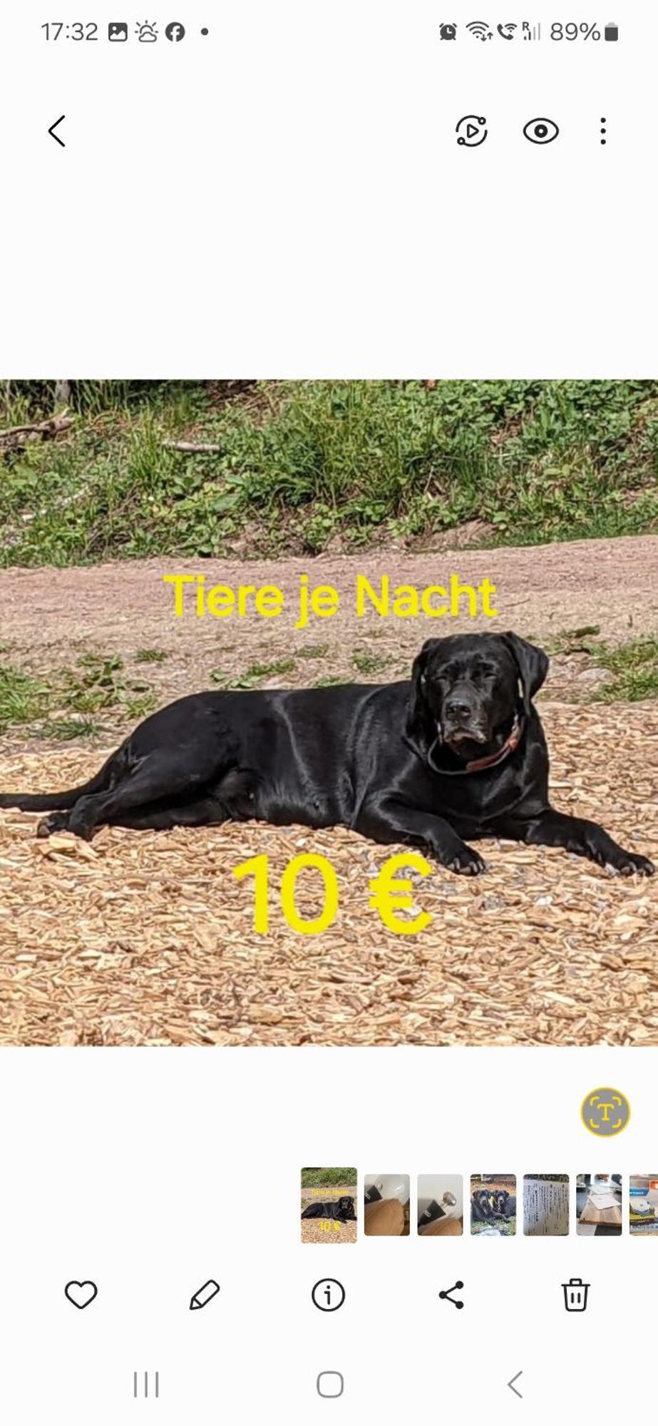 Ferienwohnung Bohnert-Arias Bad Peterstal-Griesbach Esterno foto